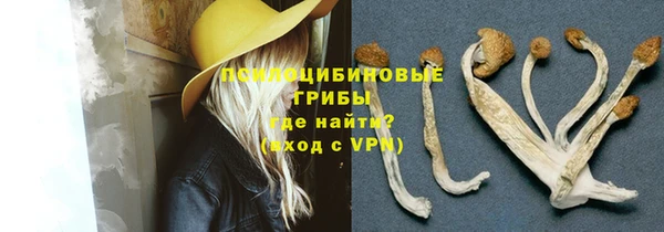 spice Зеленодольск