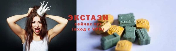 тгк Инсар