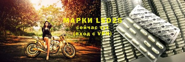 тгк Инсар