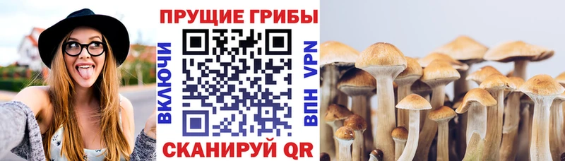 Псилоцибиновые грибы ЛСД  Купить  Вязьма 